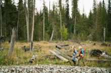 Remediation workers walk the shoreline of Hazeltine Creek near the town of Likely, BC in 2020. The creek was one of several bodies of water contaminated with tailings from the Mount Polley gold and copper mine when its tailings dam breached in 2014. File photo courtesy Mount Polley/Flickr