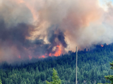 B.C. spent an average of $525 million a year on wildfire suppression from 2016-2025. This is the Bald Range fire near Summerland on Aug. 10. Photo by B.C. Wildfire Service /Government of B.C.