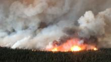 The South Stikine River fire just east of Telegraph Creek, B.C., has grown to around 60 square kilometres in size. The B.C. Wildfire Service said it was burning 'aggressively' on Monday and jumped the Stikine River. (B.C. Wildfire Service)