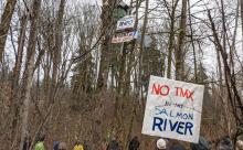 A protest was held near the Brunette River in Burnaby as Trans Mountain starts cutting down trees.Stop TMX