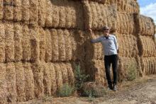 Canopy executive director Nicole Rycroft stands next to straw bales at Columbia Pulp Mill in Washington. Rycroft photo